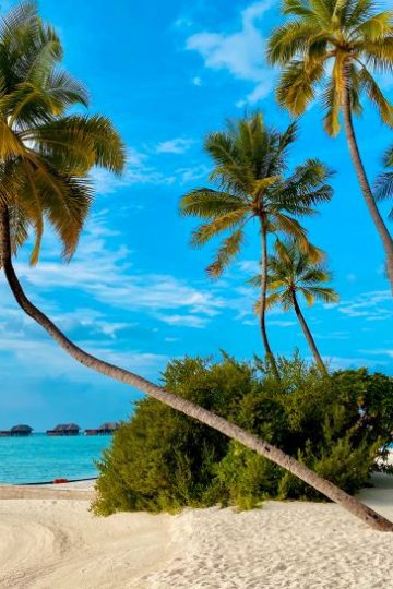 Hagelwit Zandstrand met Palmbomen op een Tropisch Eiland
