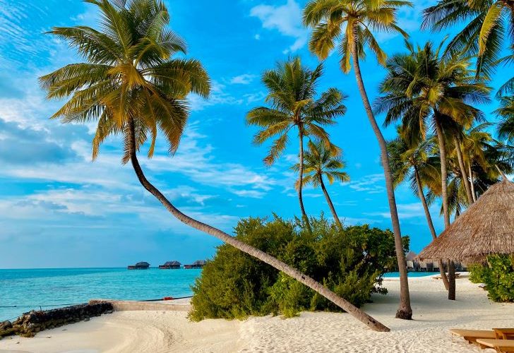 Hagelwit Zandstrand met Palmbomen op een Tropisch Eiland